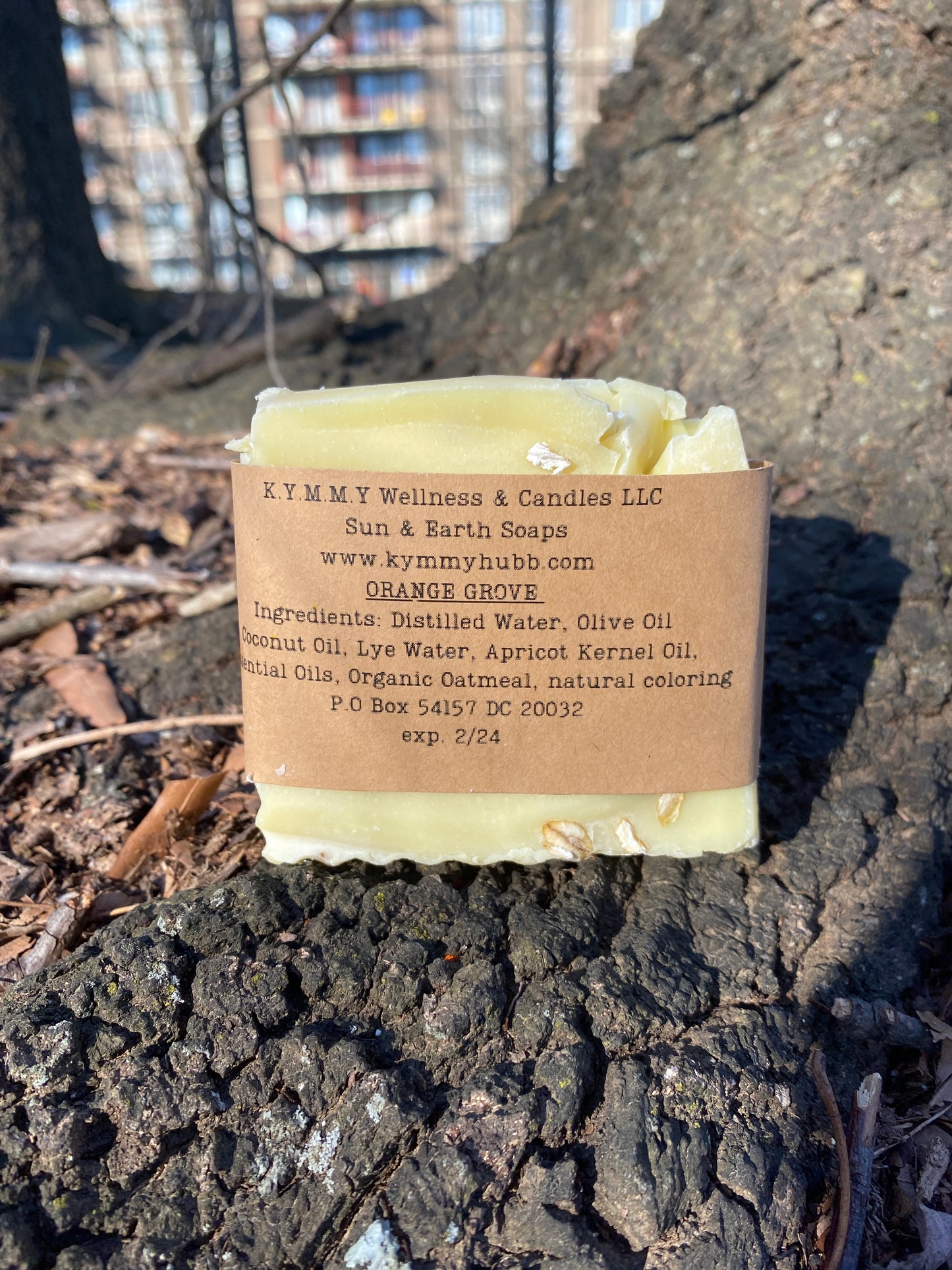 ORANGES AND OATS NATURAL BAR SOAP