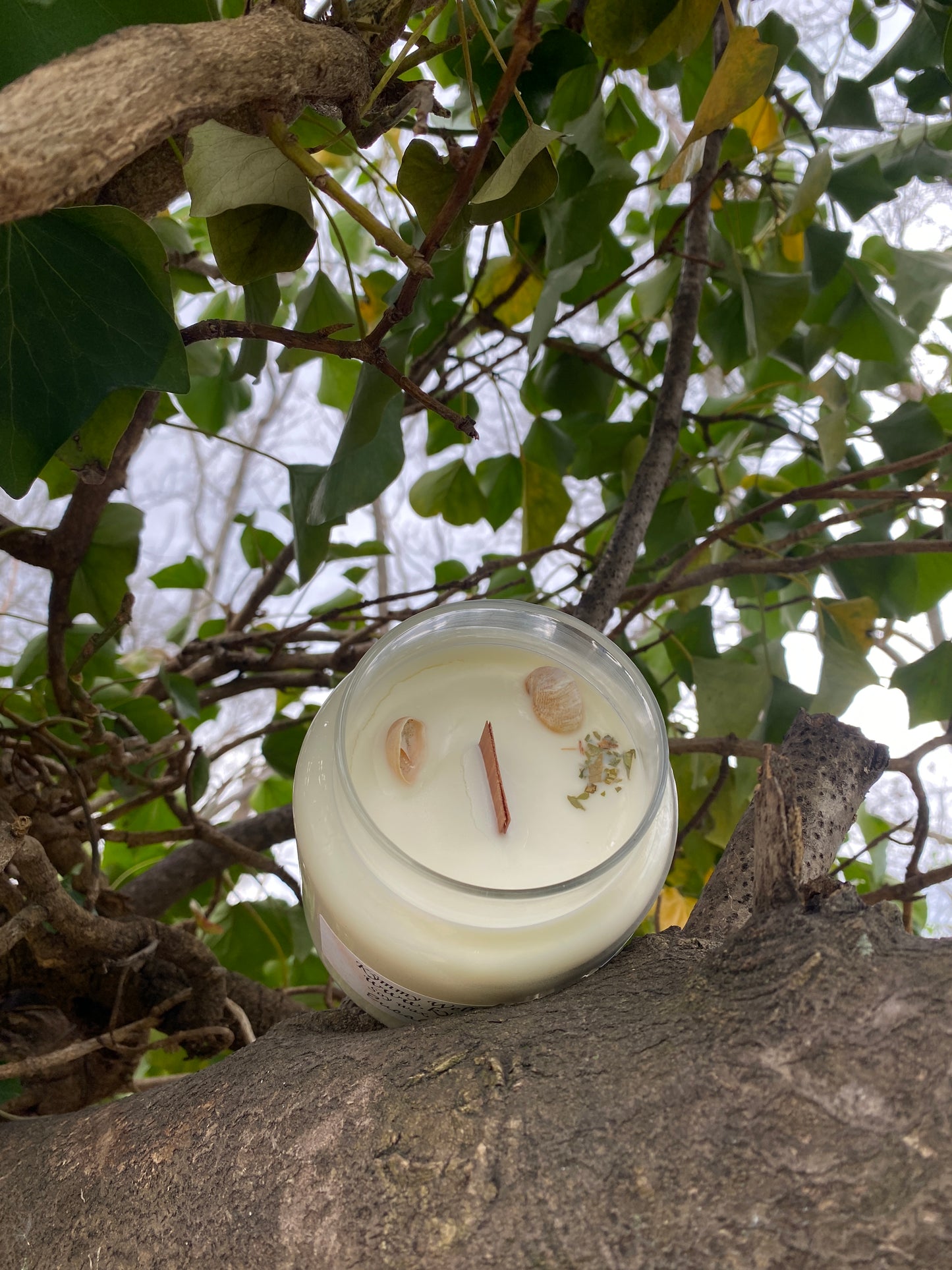 Eucalyptus Soy wax Candle