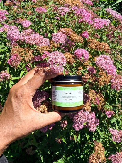 Anti inflammatory Salve